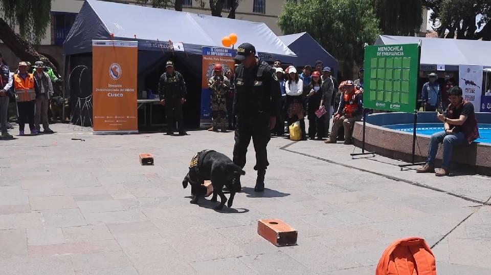 gerencia del centro histórico del Cusco