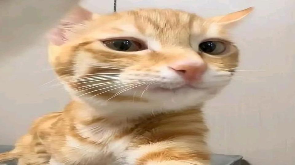 gerencia del centro histórico del Cusco